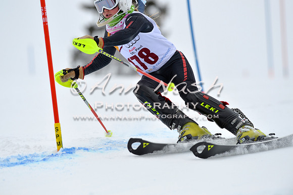 alpine_2015-02-14_12-59-19_DSC_7773_©AnnNashPhotographyLLC_2015