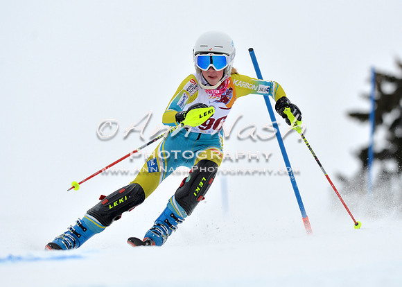 alpine_2015-02-14_13-33-00_DSC_8400_©AnnNashPhotographyLLC_2015