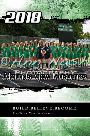 MVGS poster2018v2-©ANP