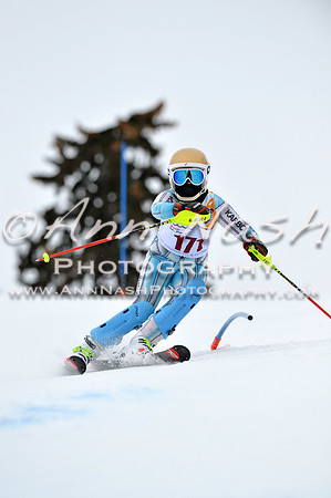 alpine_2015-02-14_13-01-49_DSC_7830_©AnnNashPhotographyLLC_2015