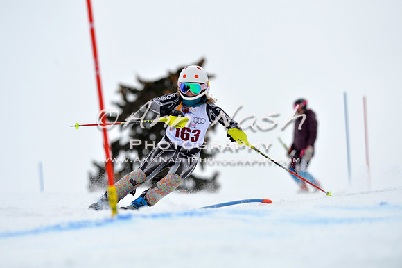 alpine_2015-02-14_12-50-40_DSC_7589_©AnnNashPhotographyLLC_2015