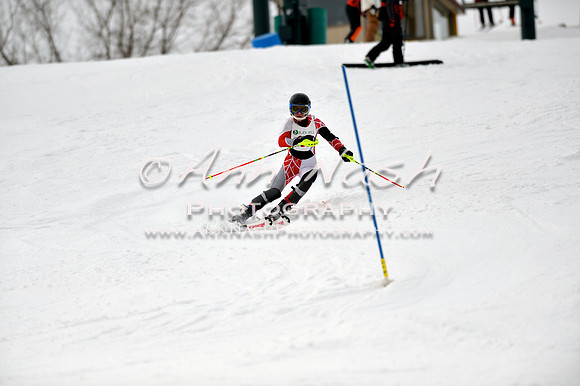 alpine_2015-01-22_12-45-14_DSC_2247_©AnnNashPhotographyLLC_2015