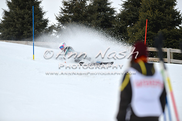 alpine_2015-01-22_11-56-34_DSC_0872_©AnnNashPhotographyLLC_2015