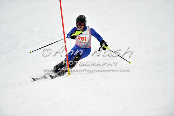 alpine_2015-01-22_11-39-43_DSC_0213_©AnnNashPhotographyLLC_2015