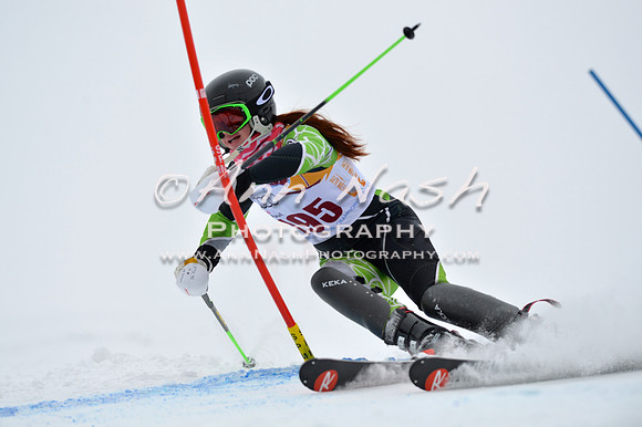 alpine_2015-02-14_13-33-33_DSC_8415_©AnnNashPhotographyLLC_2015