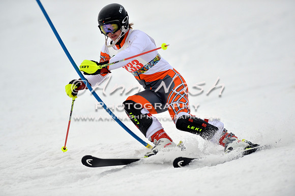 alpine_2015-01-22_12-03-12_DSC_1052_©AnnNashPhotographyLLC_2015