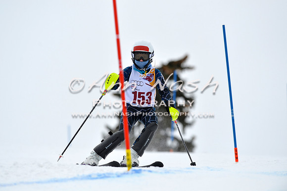 alpine_2015-02-14_12-57-56_DSC_7737_©AnnNashPhotographyLLC_2015