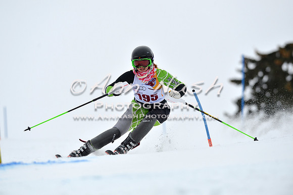 alpine_2015-02-14_13-33-32_DSC_8413_©AnnNashPhotographyLLC_2015