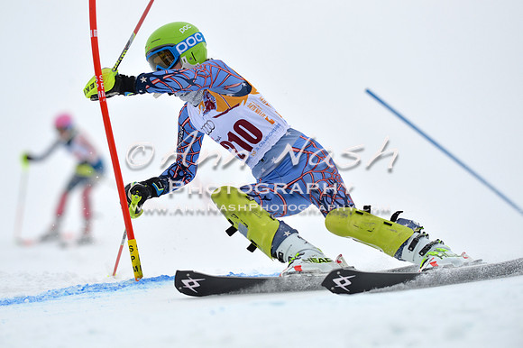 alpine_2015-02-14_13-31-18_DSC_8372_©AnnNashPhotographyLLC_2015