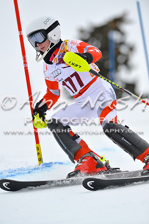 alpine_2015-02-14_13-01-12_DSC_7816_©AnnNashPhotographyLLC_2015