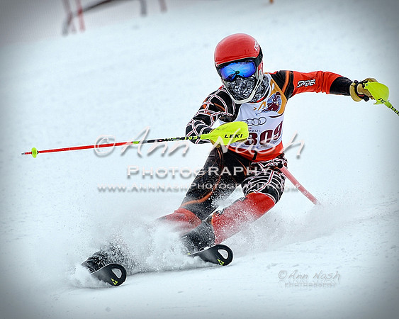 alpine_2015-02-14_11-04-12_DSC_6771_©AnnNashPhotographyLLC_2015