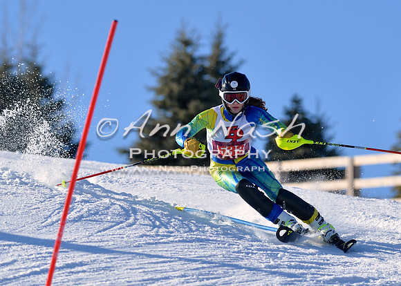alpine_2015-01-22_15-05-14_DSC_4096_©AnnNashPhotographyLLC_2015