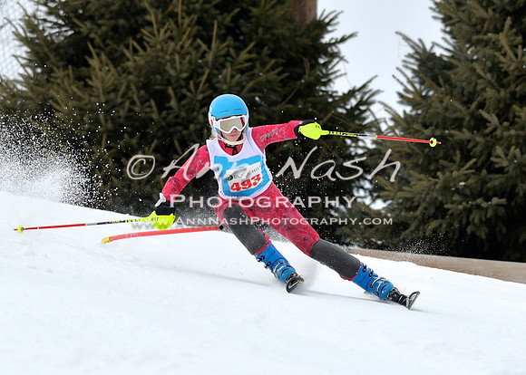 alpine_2015-01-22_12-00-36_DSC_0982_©AnnNashPhotographyLLC_2015