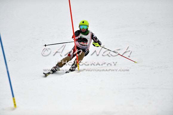alpine_2015-01-22_12-17-06_DSC_1460_©AnnNashPhotographyLLC_2015