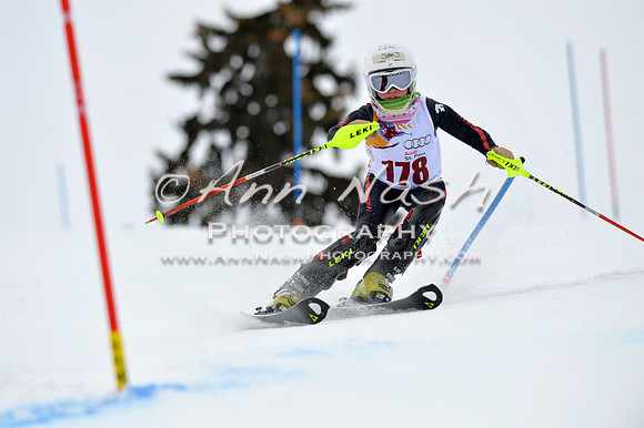 alpine_2015-02-14_12-59-19_DSC_7771_©AnnNashPhotographyLLC_2015
