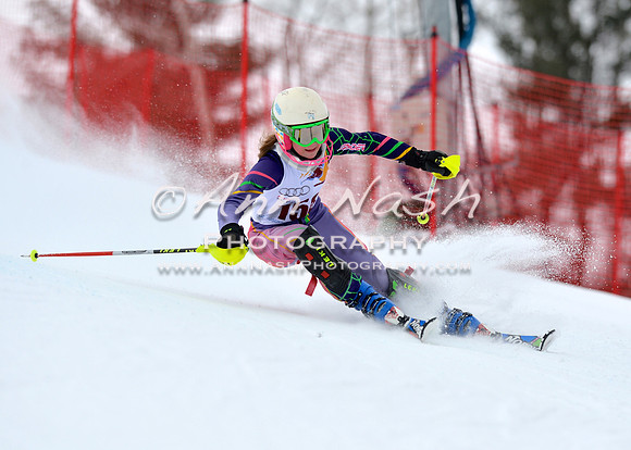 alpine_2015-02-14_10-57-51_DSC_6590_©AnnNashPhotographyLLC_2015