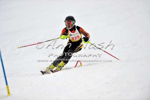 alpine_2015-01-22_12-05-11_DSC_1125_©AnnNashPhotographyLLC_2015