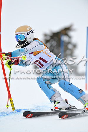 alpine_2015-02-14_13-01-50_DSC_7834_©AnnNashPhotographyLLC_2015