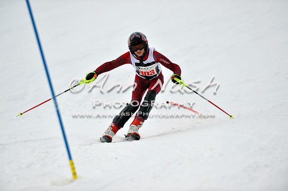 alpine_2015-01-22_12-07-10_DSC_1180_©AnnNashPhotographyLLC_2015