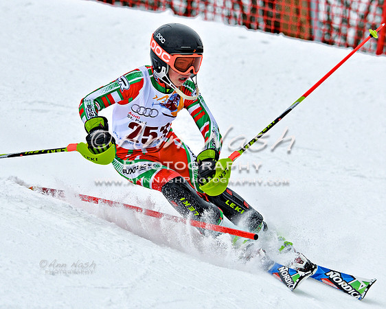 alpine_2015-02-14_13-02-24_DSC_7851_©AnnNashPhotographyLLC_2015