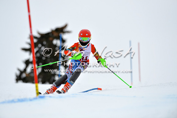 alpine_2015-02-14_12-57-16_DSC_7724_©AnnNashPhotographyLLC_2015