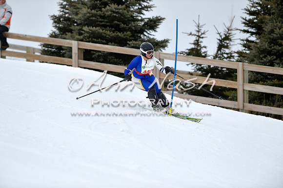 alpine_2015-01-22_11-56-13_DSC_0847_©AnnNashPhotographyLLC_2015