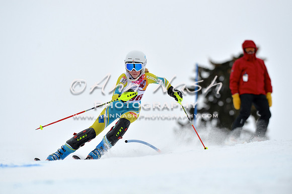 alpine_2015-02-14_13-33-00_DSC_8399_©AnnNashPhotographyLLC_2015