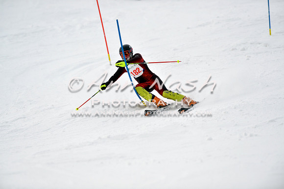 alpine_2015-01-22_11-46-19_DSC_0479_©AnnNashPhotographyLLC_2015