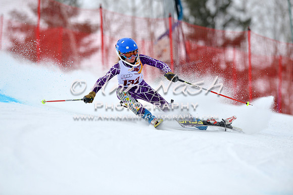 alpine_2015-02-14_10-51-18_DSC_6431_©AnnNashPhotographyLLC_2015