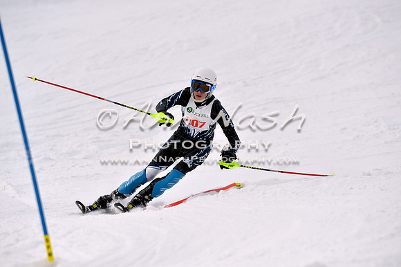 alpine_2015-01-22_12-50-54_DSC_2423_©AnnNashPhotographyLLC_2015