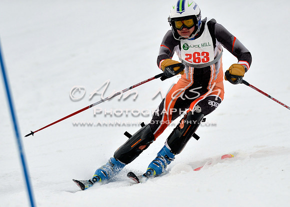 alpine_2015-01-22_12-08-46_DSC_1216_©AnnNashPhotographyLLC_2015