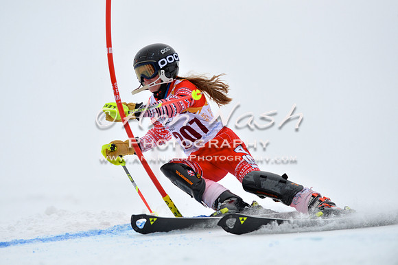 alpine_2015-02-14_13-32-22_DSC_8389_©AnnNashPhotographyLLC_2015
