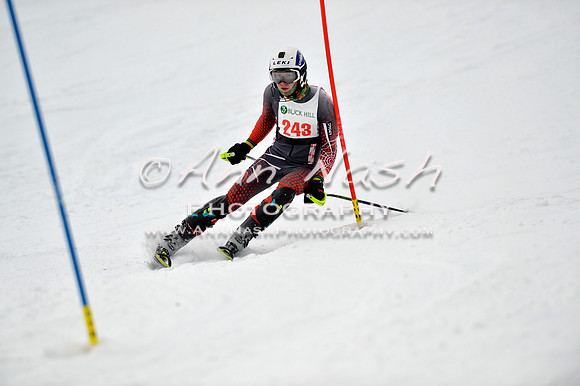 alpine_2015-01-22_12-03-36_DSC_1072_©AnnNashPhotographyLLC_2015