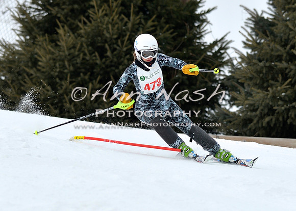 alpine_2015-01-22_11-58-33_DSC_0912_©AnnNashPhotographyLLC_2015