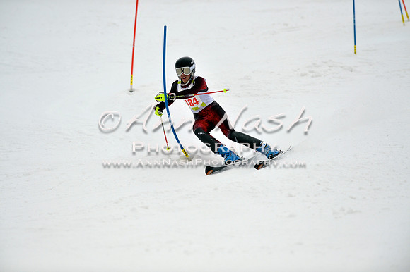 alpine_2015-01-22_12-12-42_DSC_1336_©AnnNashPhotographyLLC_2015