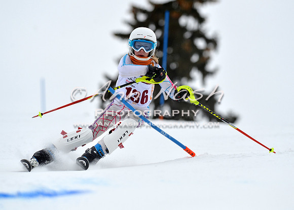 alpine_2015-02-14_13-13-04_DSC_8084_©AnnNashPhotographyLLC_2015