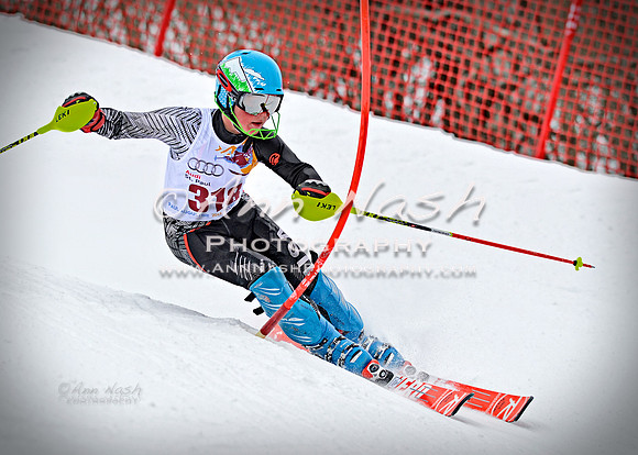 alpine_2015-02-14_13-45-38_DSC_8726_©AnnNashPhotographyLLC_2015