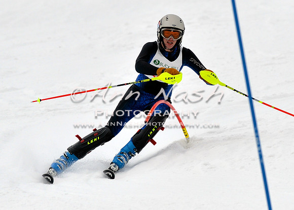 alpine_2015-01-22_12-02-14_DSC_1023_©AnnNashPhotographyLLC_2015