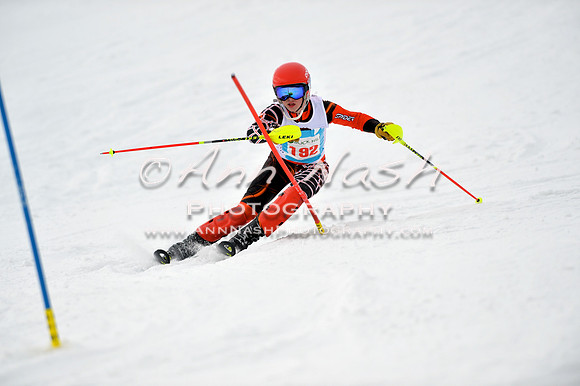 alpine_2015-01-22_11-47-01_DSC_0506_©AnnNashPhotographyLLC_2015