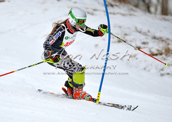 alpine_2015-01-22_11-59-53_DSC_0966_©AnnNashPhotographyLLC_2015