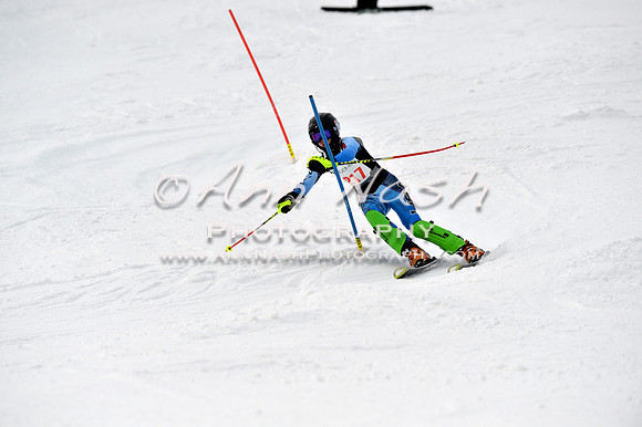 alpine_2015-01-22_12-51-21_DSC_2445_©AnnNashPhotographyLLC_2015