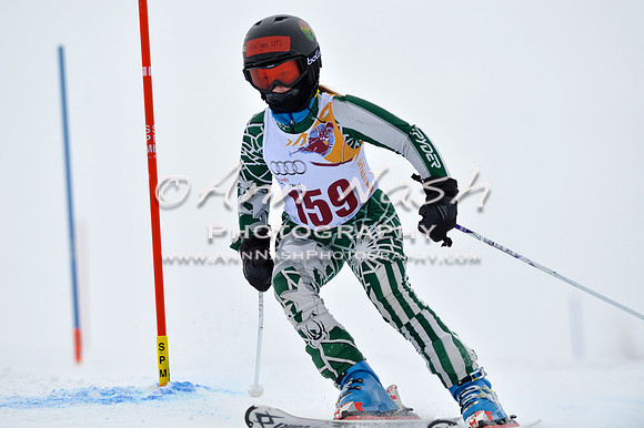 alpine_2015-02-14_12-56-34_DSC_7712_©AnnNashPhotographyLLC_2015