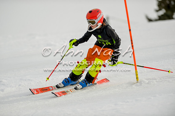 alpine-Feb19-2017-DSC_0907