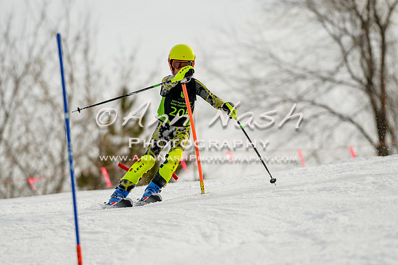 alpine-Feb19-2017-DSC_0880