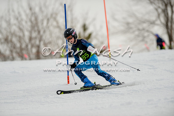 alpine-Feb19-2017-DSC_0419