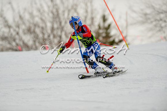 alpine-Feb19-2017-DSC_0698