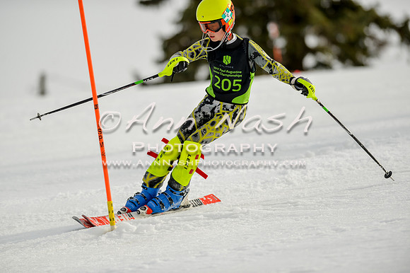 alpine-Feb19-2017-DSC_0883