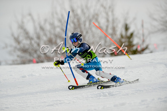 alpine-Feb19-2017-DSC_0316