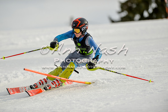alpine-Feb19-2017-DSC_1273