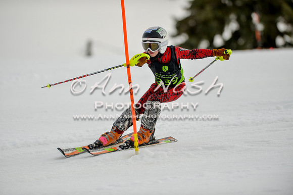 alpine-Feb19-2017-DSC_0671